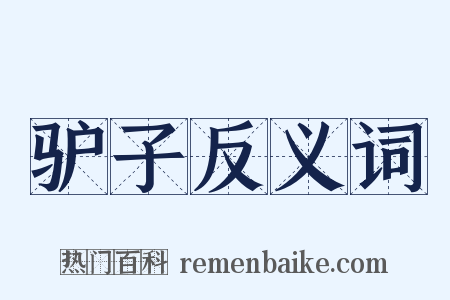 驴子反义词是什么意思的图片